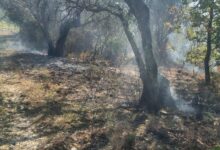Photo of Mugnano del Cardinale/Località Cugnulo: Incendio in un fondo privato